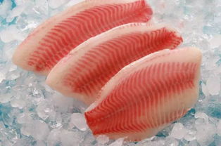 独家 巴沙鱼将占领全球白肉鱼市场 年出口110万吨或逆袭罗非鱼